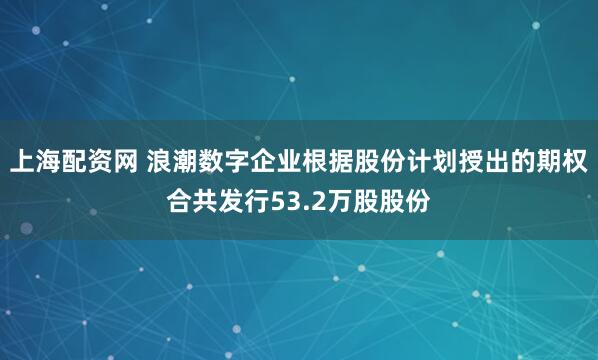上海配资网 浪潮数字企业根据股份计划授出的期权合共发行53.2万股股份