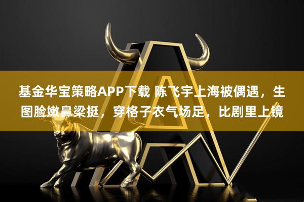 基金华宝策略APP下载 陈飞宇上海被偶遇，生图脸嫩鼻梁挺，穿格子衣气场足，比剧里上镜