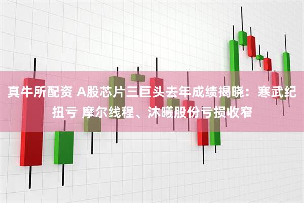 真牛所配资 A股芯片三巨头去年成绩揭晓：寒武纪扭亏 摩尔线程、沐曦股份亏损收窄