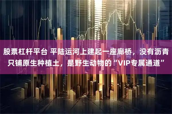 股票杠杆平台 平陆运河上建起一座廊桥，没有沥青只铺原生种植土，是野生动物的“VIP专属通道”